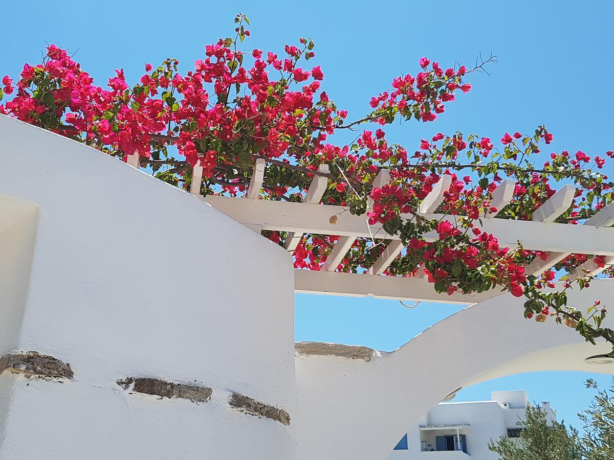 Kastro Antiparos Aparthotel Bagian luar foto